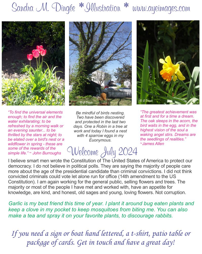 July newsletter images of my garden