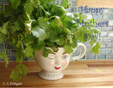 Happy Mother’s Day!
