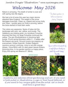 Newsletter spring flower images about the colors of early spring.