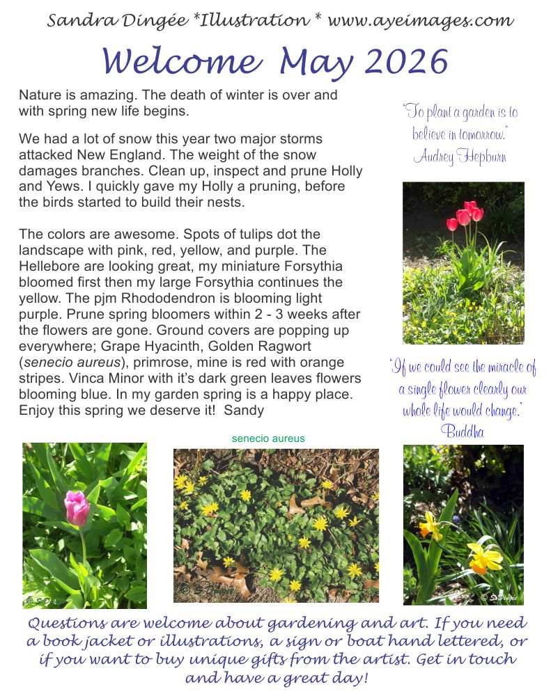 May Newsletter 2026