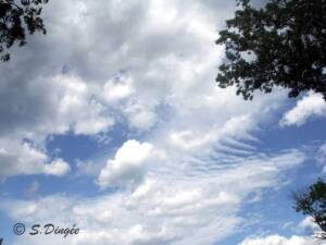 Photograph of summer cumulus clouds