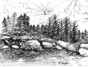 Maine pen and ink landscape