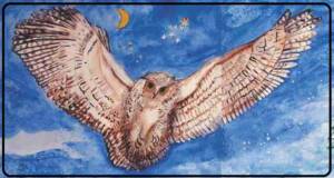 Owl flying at night